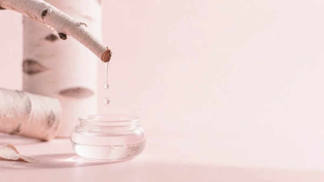 Clear sap dripping from a birch branch into a small glass vessel on a pale pink surface